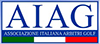 aiag.png