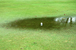 acqua_occasionale.jpg